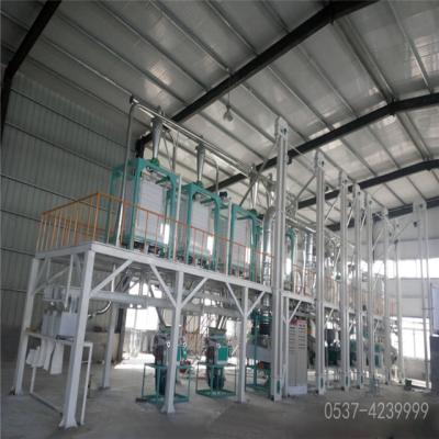 China Best quality 30t/d complete critz maize food flour mill machine grinding /flour mill machine plant for sale