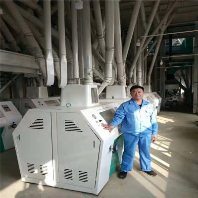 China food flour mill machine 100t/d maize milling machine grinding/maize plant critz complete /flour mill machine plant for sale