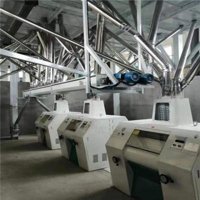 China High output 30tons factory of buckwehat flour mill machine factory for sale