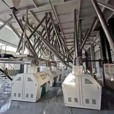 China Buckwheat Flour Milling Equipment Complete Plant 60tons Plant for sale