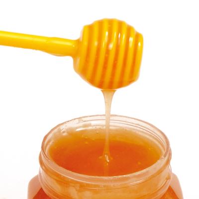 China Hot Selling Viable For Beekeeper Long Handle Take Honey Stick Honey Stick Beekeeping Equipment Wholesale Honey Spoon for sale