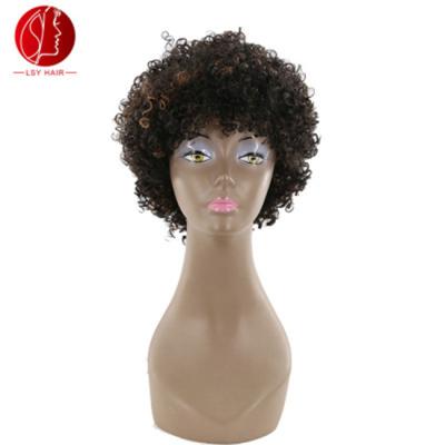 China High Density Brazilian Remy Human Hair Afro Kinky Curly Lace Front Wig Full Lace Wig For Black Women for sale