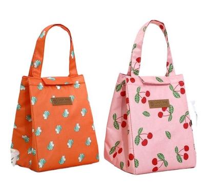 China Fashion Picnic Cat Lunch Bag Color Women Hand Pack Thermal Box Waterproof Multi Cooler Cute Waterproof Breakfast Portable Bag for sale