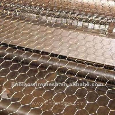 China Factory Hot Dip Galvanized Hex Wire Netting Hexagonal Decorative Chicken Wire Mesh Stainless Steel Chicken Wire for sale