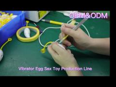 Vibrator Egg Production Line Workshop Introduction Video