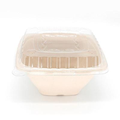 China Water-Repellent Eco-friendly Biodegradable Bamboo Sugarcane Tableware Bagasse PLA Disposable Salad Bowl With Lid for sale