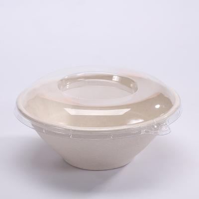 China Disposable Manufacturer Water-Repellent Eco-friendly Sugarcane Bagasse Pulp Dishes And Bowls Food Packaging Box Quickly for sale