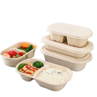 China Water Repellent Take Out Food Containers Disposable Eco - Friendly Bagasse Pulp Lunch Salad Containers for sale