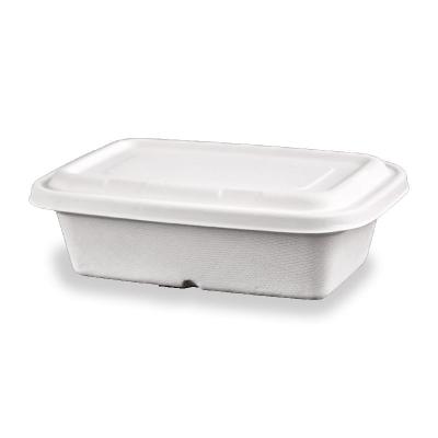 China Disposable Biodegradable Sugarcane Fiber 1000ml Bagasse Eco - Friendly Food Container for sale