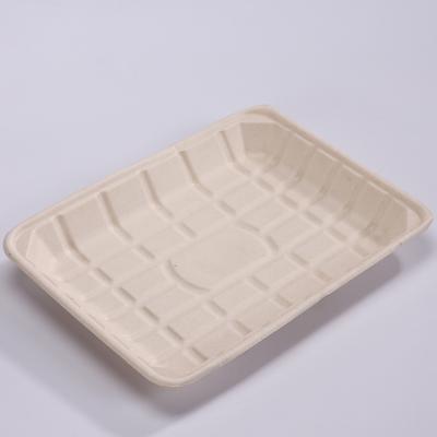 China Biodegradable Vegetarian Sugarcane Bagasse Disposable Fast Food Meat Food Serving Tray Water Repellent Maker for sale