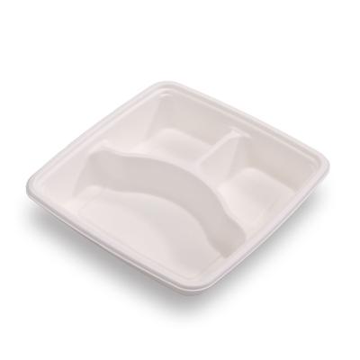 China One Time Environmental Protection 100% Disposable Biodegradable Compostable Lunch Box for sale