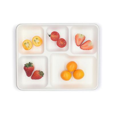 China Water Repellent Home Compostable Bagasse Tray Sugarcane Bagasse Pulp 5 Compartment Food Tray Biodegradable for sale