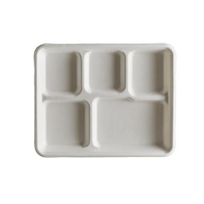 China Eco-Friendly 5 Compartment Water-Repellent Disposable Tray Sugarcane Bagasse Pulp Food Fruit Cake Tray Bio With Lid for sale