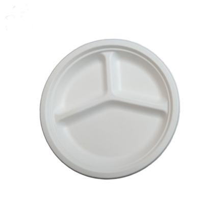 China Wholesale Minimalist Sugarcane Bagasse Pulp Dishes 9