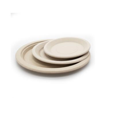 China Amazon Water Repellant Biodegradable Bagasse Pulp Eco Oval Dinner Dishes Amazon Paltes Sugar Cane Pulp Oval Dinner Dishes for sale