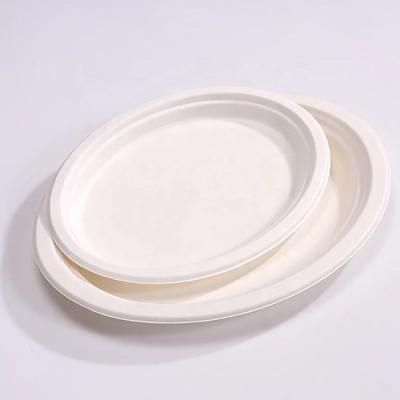 China Water Repellent Bagasse Canteen Dishes 12 Inch Disposable Wedding Party Disposable Wedding Dishes Biodegradable Sugarcane Paltes for sale