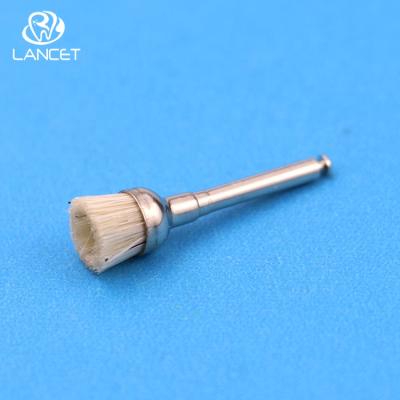 China Dental polishing brush 2021 oral prophy brush stiffen polishing brushes for sale for sale