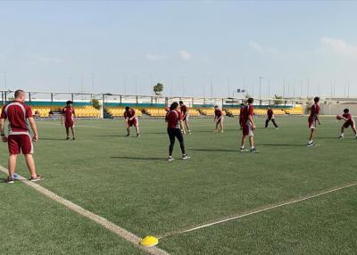 Chine Tribunes permanentes du football en métal extérieur de cour avec le toit à vendre