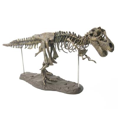 China Skeletal Fossil Model Painted Toy Set, Dinosaur Bones Assembled Plastic Fossil Toy, Archaeological Education Animal Fossil Toy for sale