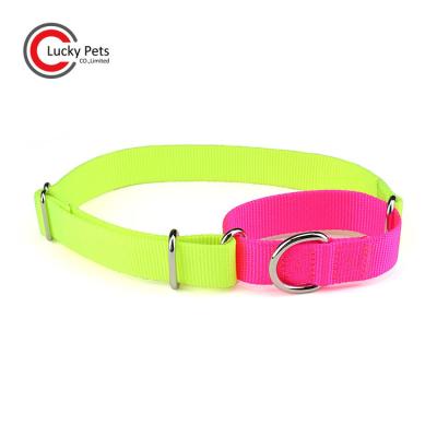 China Fluorescent Color Martingale Two 2 Tone Personalized Nylon Dog Collar for sale