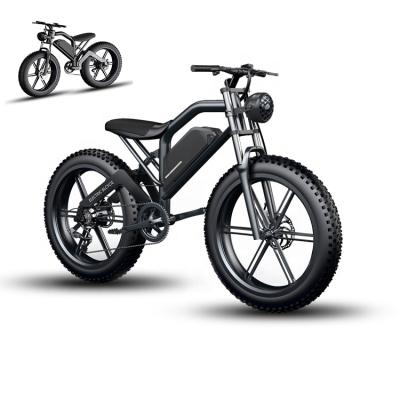 China Aluminum alloy factory promotion snow bike 4.9 widened variable speed big tire mountain electric bicycles price for sale