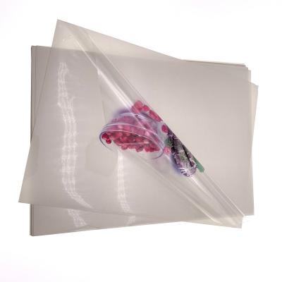 China A3 Sticker Paper Vinyl Waterproof Clear Sticker Paper For Inkjet Dye Dye Ink Printer for sale