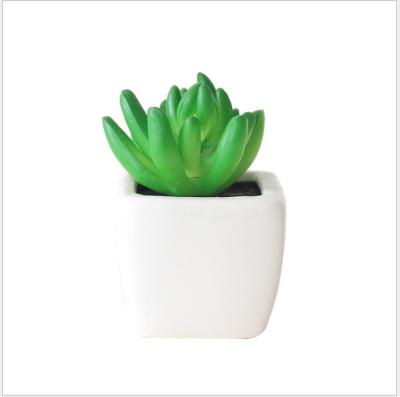 China Creative Decoration Simulation Of Succulent Potted Flower Plants Bonsai Plants for sale