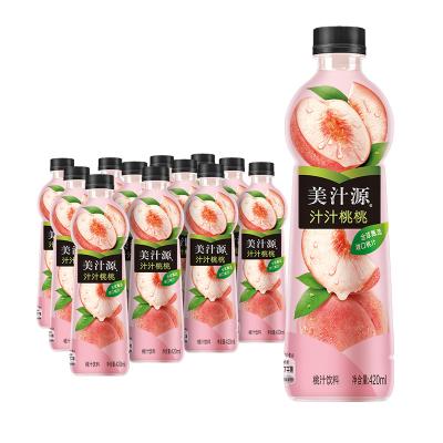 China 420ml Juice Drinks Wholesale Variety Juice Fruit Juice Drinks Good Price Natural Good Quality And Flavors for sale