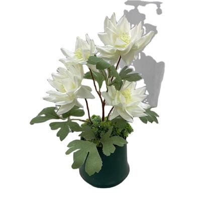 China Wholesale Artificial Decoration Flower Wedding Decors Phlogacanthus Curviflorus Snow Lotus for sale