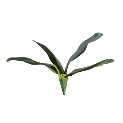 China Real Touch A401 Phalaenopsis Leaf Decoration Simulation Artificial Plant Bonsai Orchid Leaf Decoration for sale