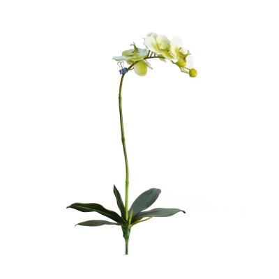 China Real Touch B5 Simple Single Phalaenopsis Artificial Flower Orchid Flower With Leaves DIY Deceration for sale