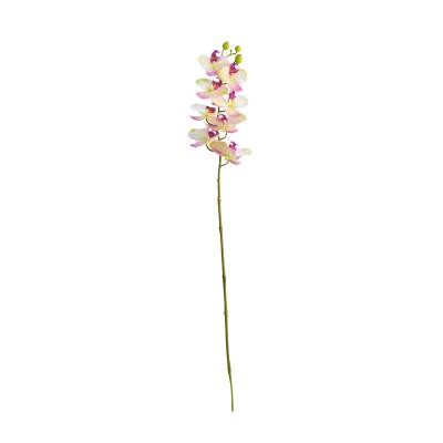 China D800 Home Decoration Phalaenopsis Artificial Flower Single Orchid Flower for sale