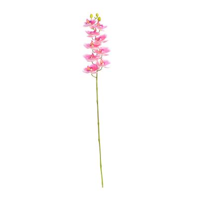 China D900 Home Decoration Phalaenopsis Artificial Flower Single Orchid Flower for sale