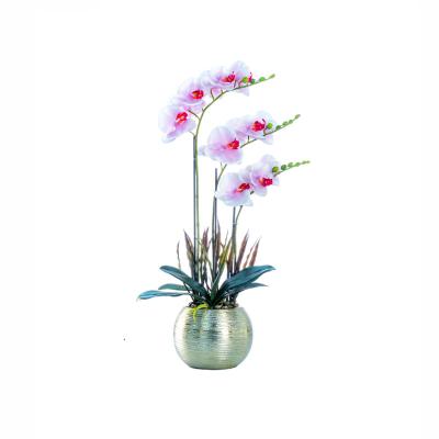 China Decoration Phalaenopsis Simulation Flower With Pots Gift Decoration Opens Phalaenopsis 2022 Modern Minimalist for sale