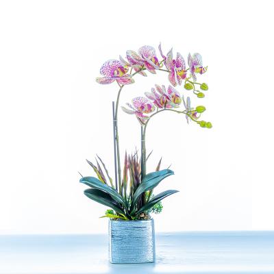 China Decoration Phalaenopsis Simulation Flower With Pot Gift Decoration Opens Orchid Artificial Flower Hanging Flowers for sale