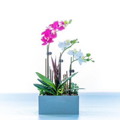 China Decoration Phalaenopsis simulation flower with pot gift decoration opens 2022 summer party wedding decorations orchid for sale