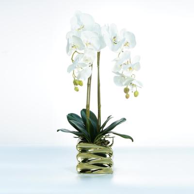 China Decoration Phalaenopsis simulation flower with pot gift decoration opens 2022 summer party public place decoration orchid for sale