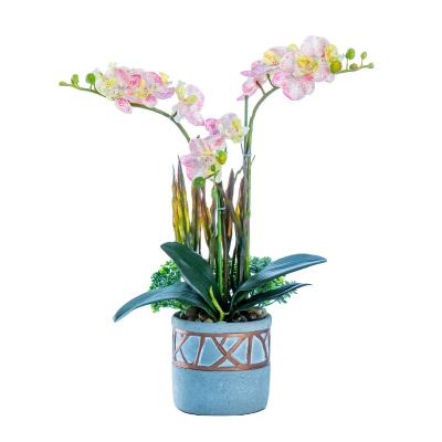 China Decoration Phalaenopsis with pots Amazon success simulation flower gift decoration ornament 2022 new bonsai for sale