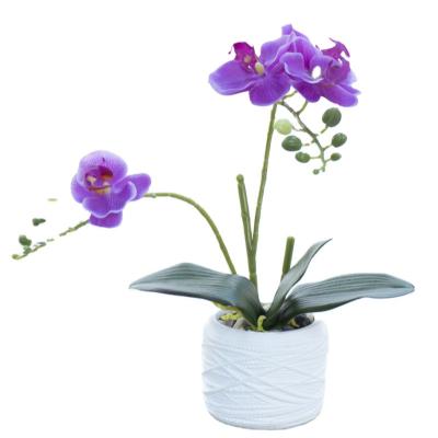 China Widely Used High Quality Artificial Phalaenopsis With Pot Artificial Flower Orchid White For Table Home Decorative Flowers Hot Sale for sale