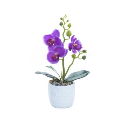 China Widely Used High Quality Artificial Phalaenopsis With Pot Artificial Flower Orchid White For Table Home Decorative Flowers Hot Sale for sale