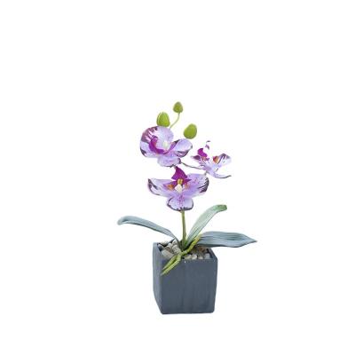 China Widely Used High Quality Artificial Phalaenopsis With Pot Artificial Flower Orchid White For Table Home Decorative Flowers Hot Sale for sale