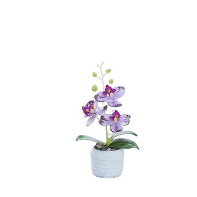 China Widely Used High Quality Artificial Phalaenopsis With Pot Artificial Flower Orchid White For Table Home Decorative Flowers Hot Sale for sale