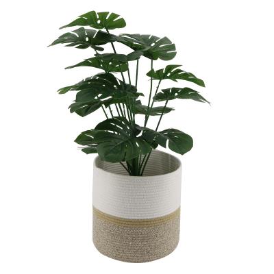 China Modern Sustainable Woven Rustic Home Flower Pot Planters Decor Cotton Rope Plant Basket For Floor Indoor Plants for sale