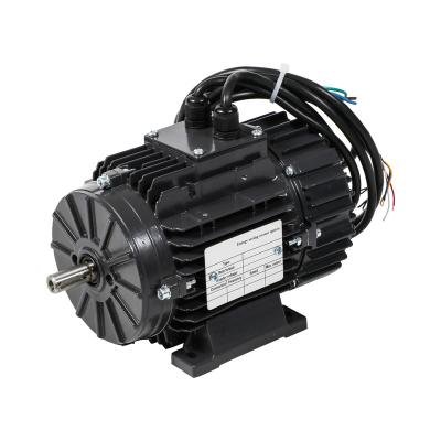 China Low noise power saving EC motor with variable efficiency axial motor IE5 permanent magnet EC fan speed control sychronous motor for sale