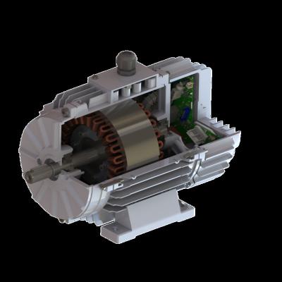 China Totally Enclosed BLDC High Power Input Synchronous Permanent Magnet Motor for sale