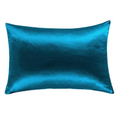 China Anti dust mite 19 momme silk pillow case zipper with piping 100% pure mulberry Oeko Tex Silk Pillow case for sale