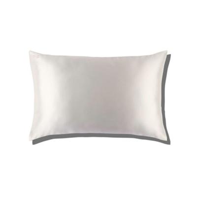 China Anti-Static Zipper Pillow Case 22 Momme 100% Pure Silk Oeko Tex Silk Pillow Cover for sale