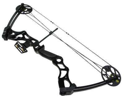 China China Professional aluminum/magnesium/mangsium aluminum alloy die cast archery bow for sale