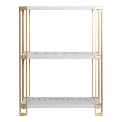 China Modern Book Rack 2 Layers Bury Custom KD Display Racks Multifunctional Organizer Kitchen Rack for sale