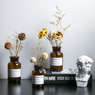 China Modern Simple Transparent Glass Flower Vases Living Room Decoration Home Aromatherapy Bottle for sale